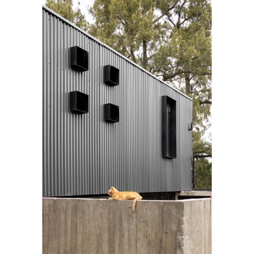 Carnaval__0008_1 Carnaval__0008_1