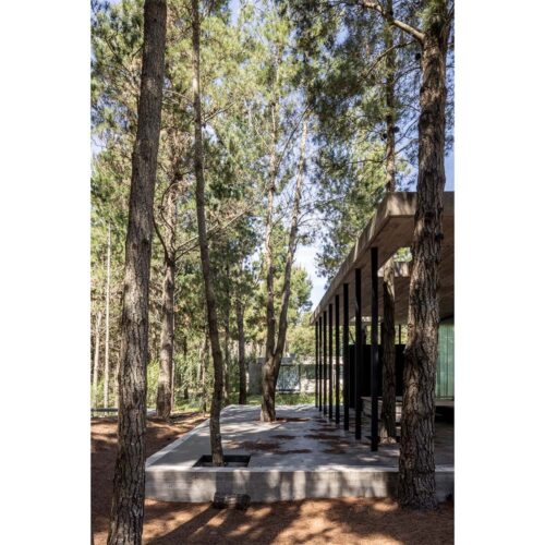 Untitled-1_0015_1 X 1 BLANCO-02 Untitled-1_0015_1 X 1 BLANCO-02