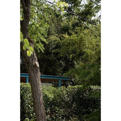 lopez-facundo_0025_JPG 1 x 1 blanco (formato cuadrado sin recortes para redes)-02