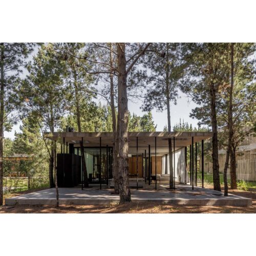 Untitled-1_0016_1 X 1 BLANCO-01 Untitled-1_0016_1 X 1 BLANCO-01