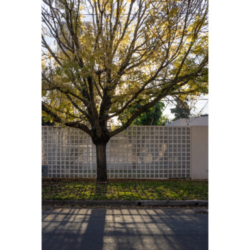 JPG 1 x 1 blanco-34